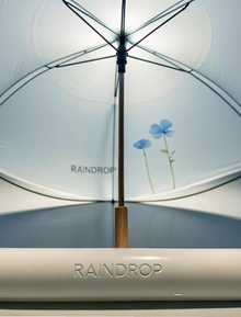 RAINDROP RAINDROP