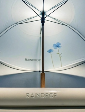 RAINDROP