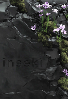 INSEKI&nbsp;2