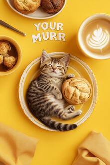 YOUR MURR YOUR MURR