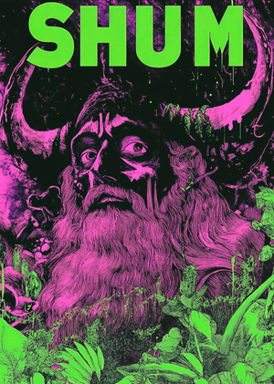 Бар славянского рейва «Шум»