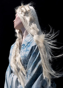 Глава 4. Волосы в визуальном искусстве