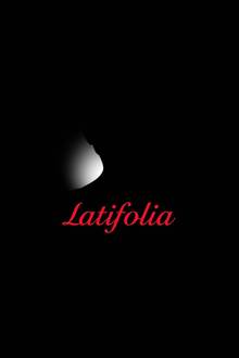 Latifolia