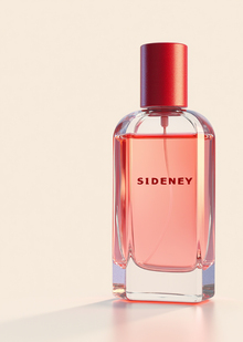 SIDENEY— финальный проект по&nbsp;прикладному применению генеративных нейросетей