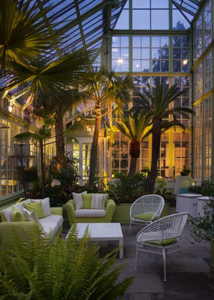 оранжерея terra ai