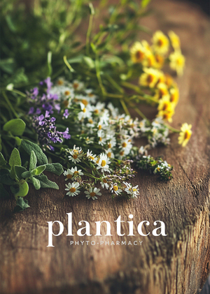 Фитоаптека ЮРТИ глазами AI