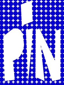 PiN: AI PiN: AI