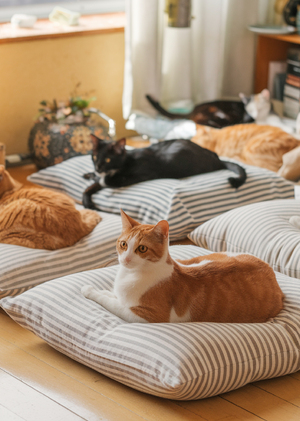 Кот в мешке - питомник для котов, созданный ИИ