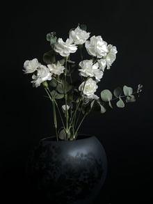 KOHO LOMA
