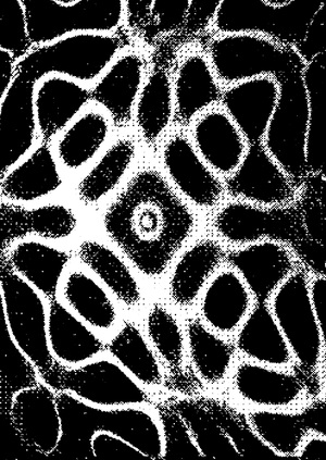 Harmonic motion