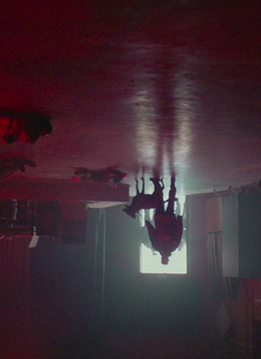 II глава.
«Единство цвета и света»