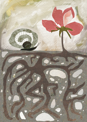 Улитка и роза