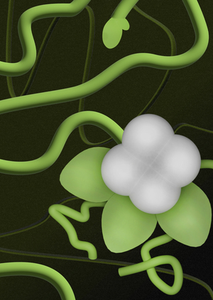 Плакаты для Расцвета