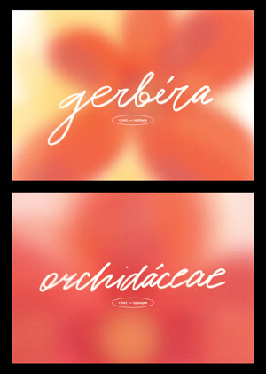 Floriography. Color language