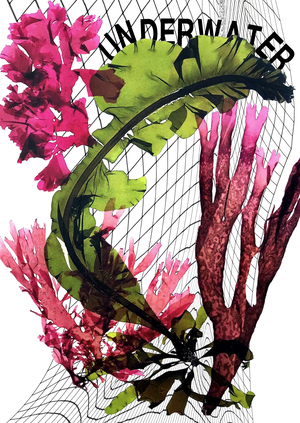 Плакаты для бренда перепонок и жабр для людей "sirence"