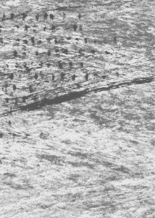 Заключение