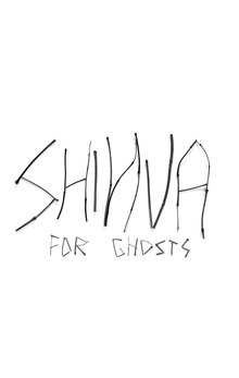 SHINVA плакаты