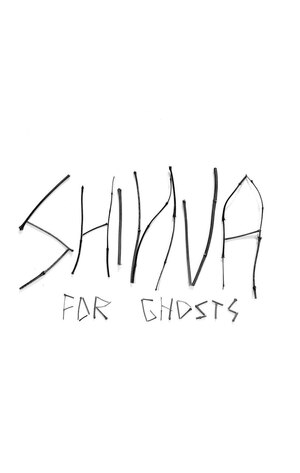 SHINVA плакаты