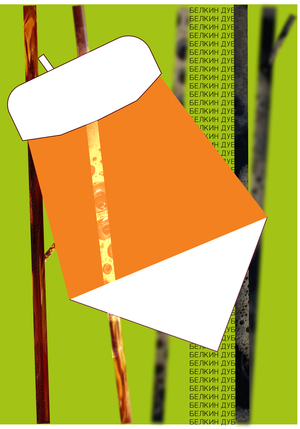 Плакат для кофейни "Белкин дуб"