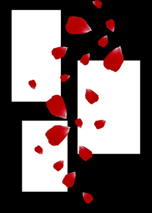 Лепестки в моих легких