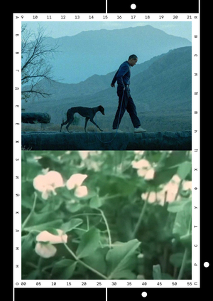 Ребрендинг Дома Кино