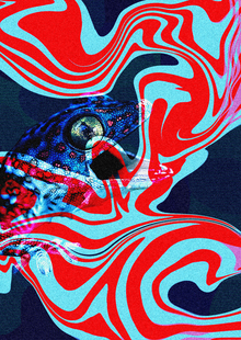 PSYCHO DANCE