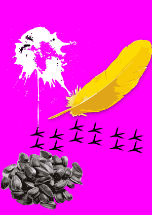 birding: медиа о птицах