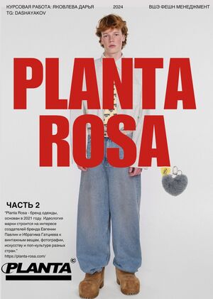 Planta Rosa: анализ бренда. Часть 2