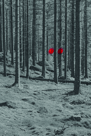 Creep Inn. Отель для криптидов. Плакаты