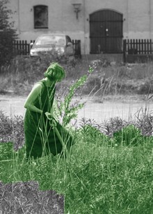 (2) ХУДОЖНИК → САД→ СООБЩЕСТВО