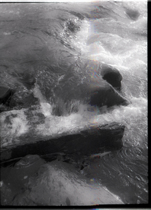 Murmurs of&nbsp;Unease