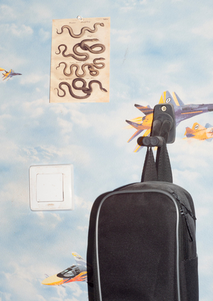 Зин о моем брате-подростке