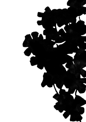 Растительные принты