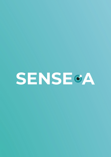 Коммуникационный бриф для компании «Sense-A»