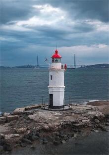 «Токаревский маяк»