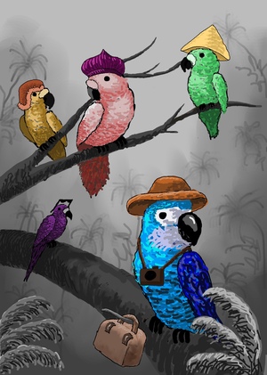 Попугай-путешественник