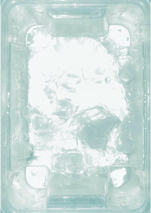 Голоса льда 