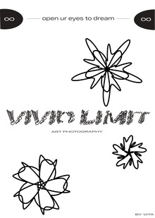 vivid limit
