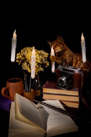 Натюрморты о главном