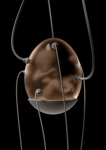 Exowomb Exowomb