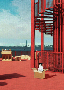 Киссасаари: жизнь в коробке