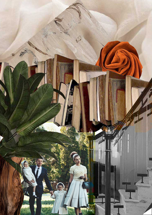 Дом в стиле американской классики с акцентом на современность «Sunset» 