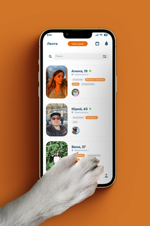 TailTalk — сервис знакомств для прогулок с питомцами