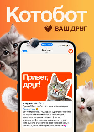котобот // вашдруг.рф