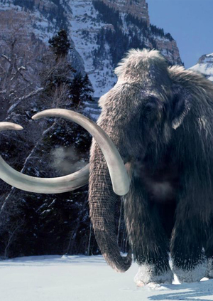 Жизнь, Смерть и Мамонты