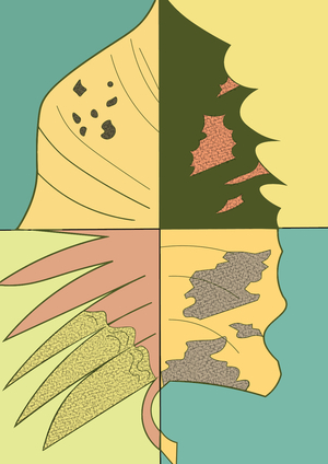 Заболевание 