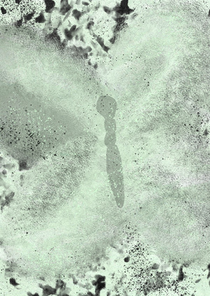 ephemeral