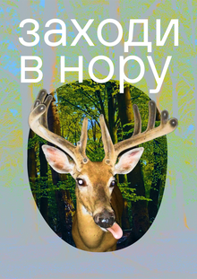 Нора