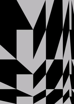 Max Bruckner: Five Platonic Solids