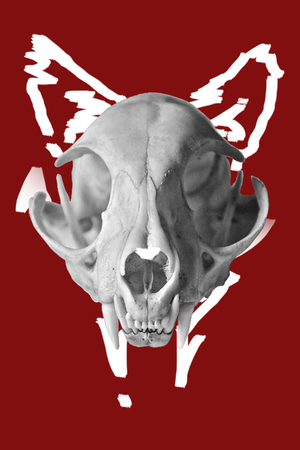 Плакаты для кошачьего фестиваля талантов MEOW